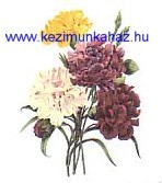 Szegfűk - Tűgobelin Szegfűk - Tűgobelin