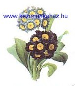 Virágcsokor - Tűgobelin Virágcsokor - Tűgobelin