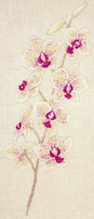 Orchideák - DMC leszámolható keresztszemes készlet Orchideák - DMC leszámolható keresztszemes készlet
