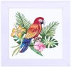 Papagáj - előfestett hímezhető készlet