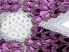 Virág - flitteres ruhára vasalható textil matrica